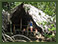 Orinoco Eco Camp - your private cabin